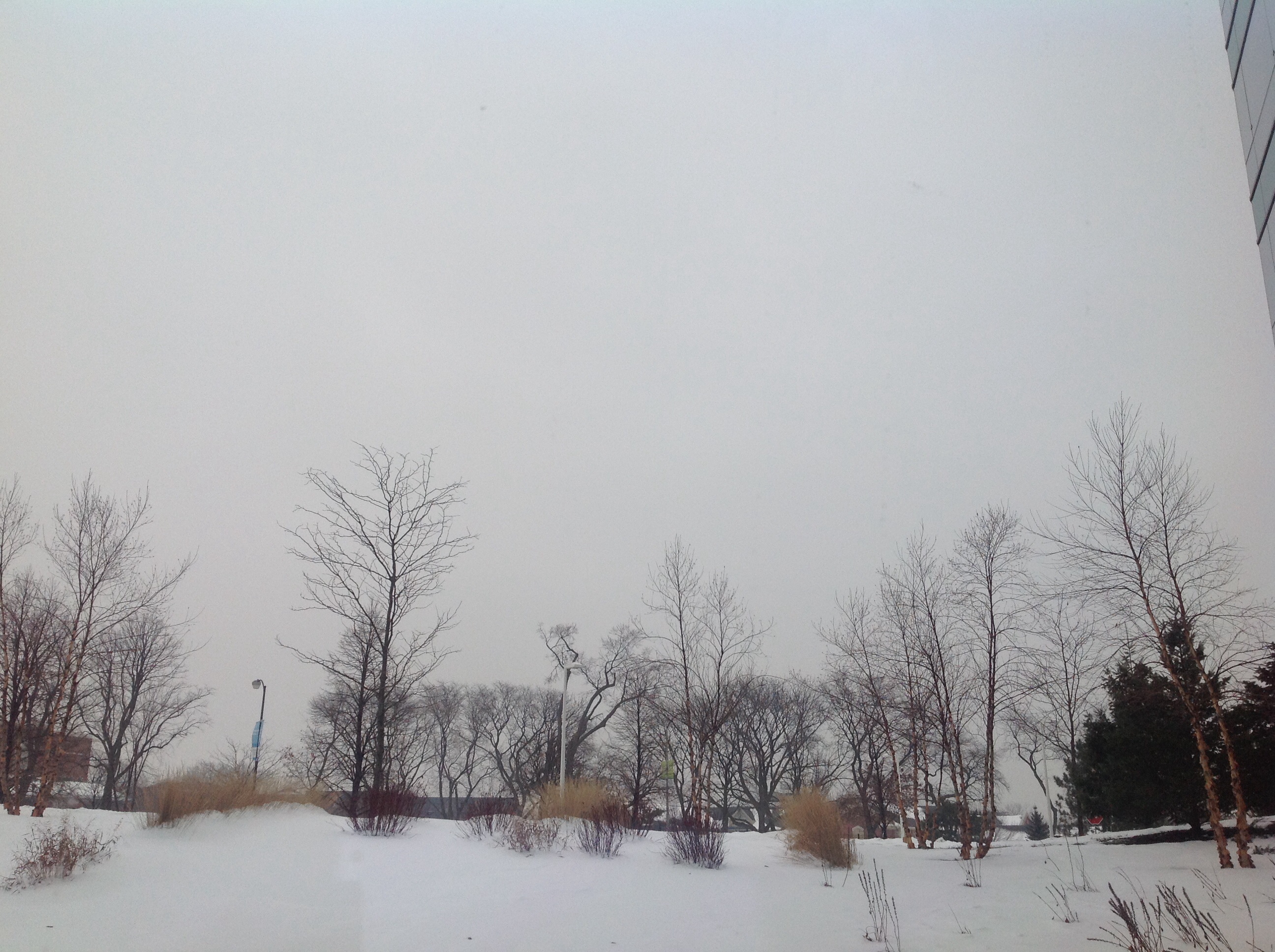 First Aid for Hypothermia