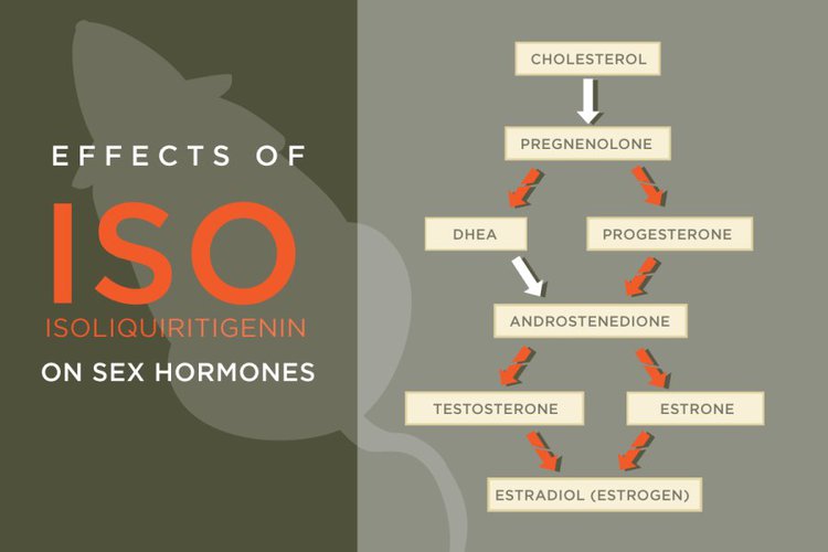 Licorice Compound Interferes With Sex Hormones In Ovary