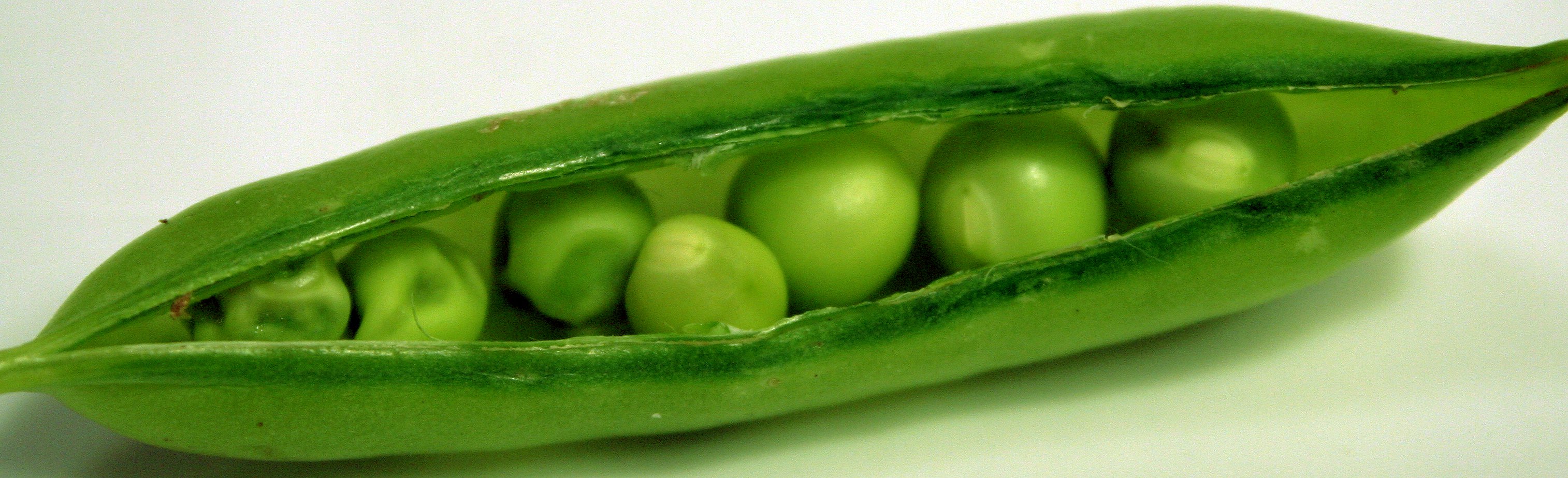 what-vitamins-are-in-mangetout-sugar-snap-peas