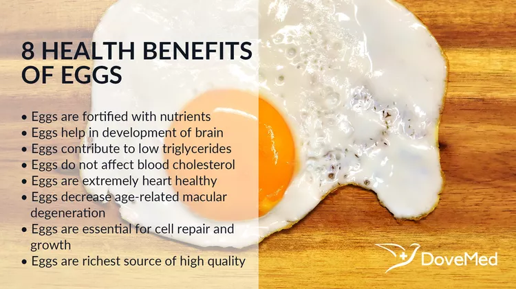 8 Health Benefits Of Eggs Dovemed 7577