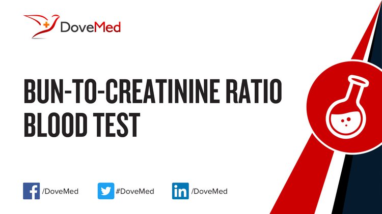 bun creatinine blood test normal range