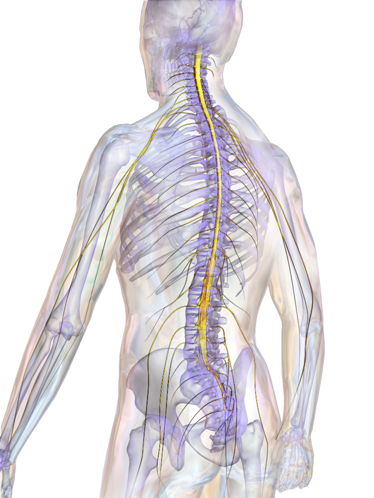 how-to-grow-a-spine