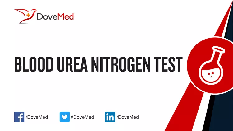 Blood Urea Nitrogen (BUN) Test - DoveMed