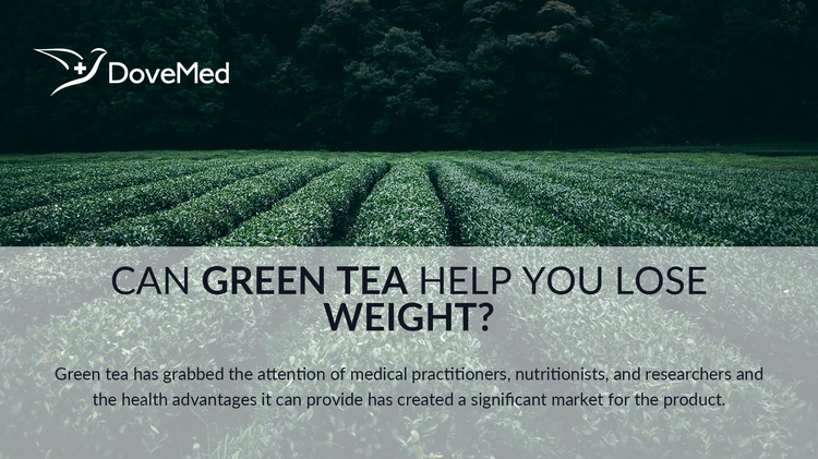 how-green-tea-can-help-you-lose-weight