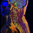 MRI scan of the Cervical spine.