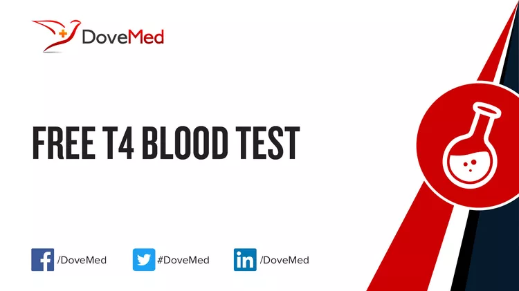 Free T4 Blood Test - DoveMed