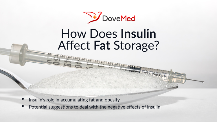 How Does Insulin Affect Fat Storage?