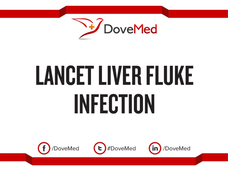 Lancet Liver Fluke Infection