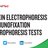 Protein Electrophoresis & Immunofixation Electrophoresis Tests.