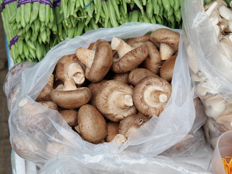 Shiitake Mushrooms Must Be Fully Cooked Before Eating. Here's Why. –  Mankato Clinic