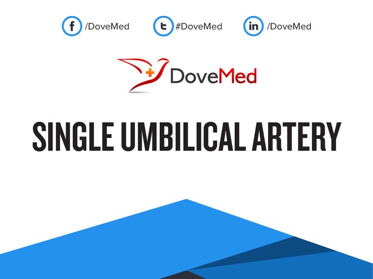 single-umbilical-artery