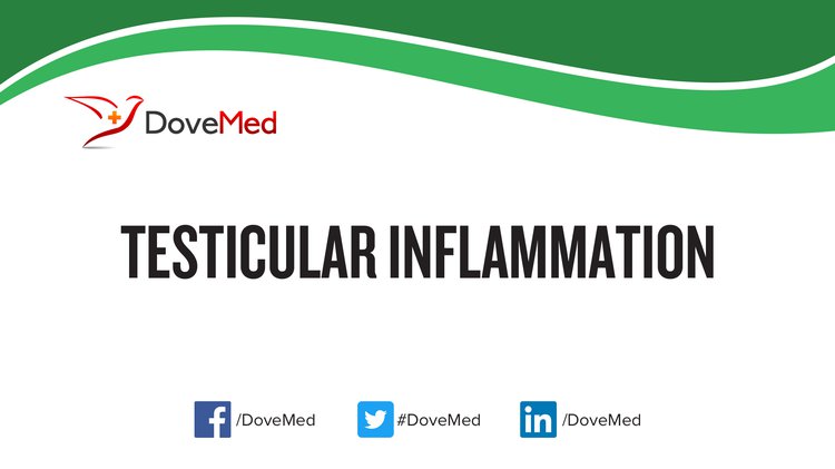 Testicular Inflammation