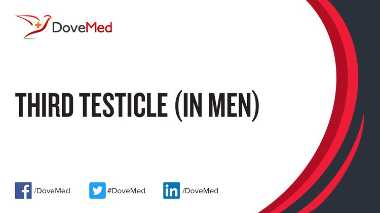 Third Testicle (in Men)