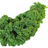 Kale.
