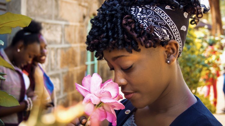 Navigator Neurons Play Critical Role In Sense Of Smell >> Navigator Neurons Play Critical Role In Sense Of Smell Navigator Neurons Play Critical Role In Sense Of Smell >> Navigator Neurons Play Critical Role In Sense Of Smell