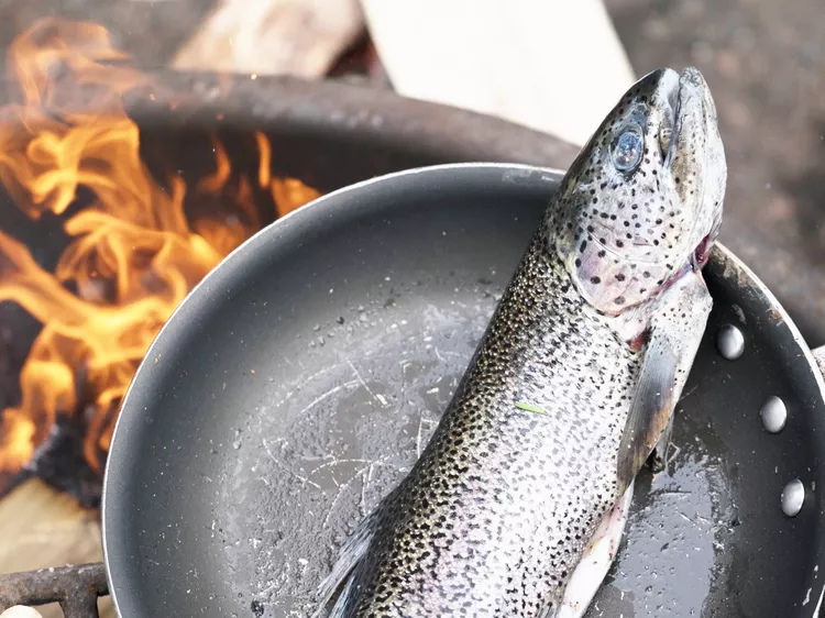 Understanding Food Sources for Trout 