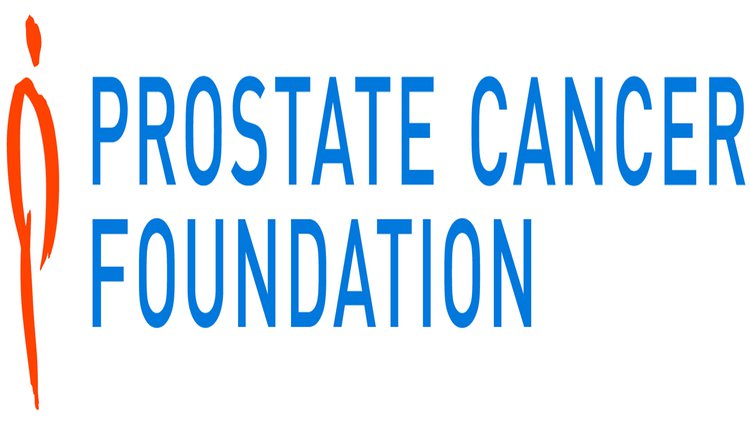 Prostate Cancer Foundation Pcf 0951