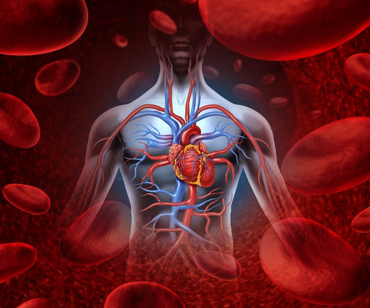 VLDL cholesterol