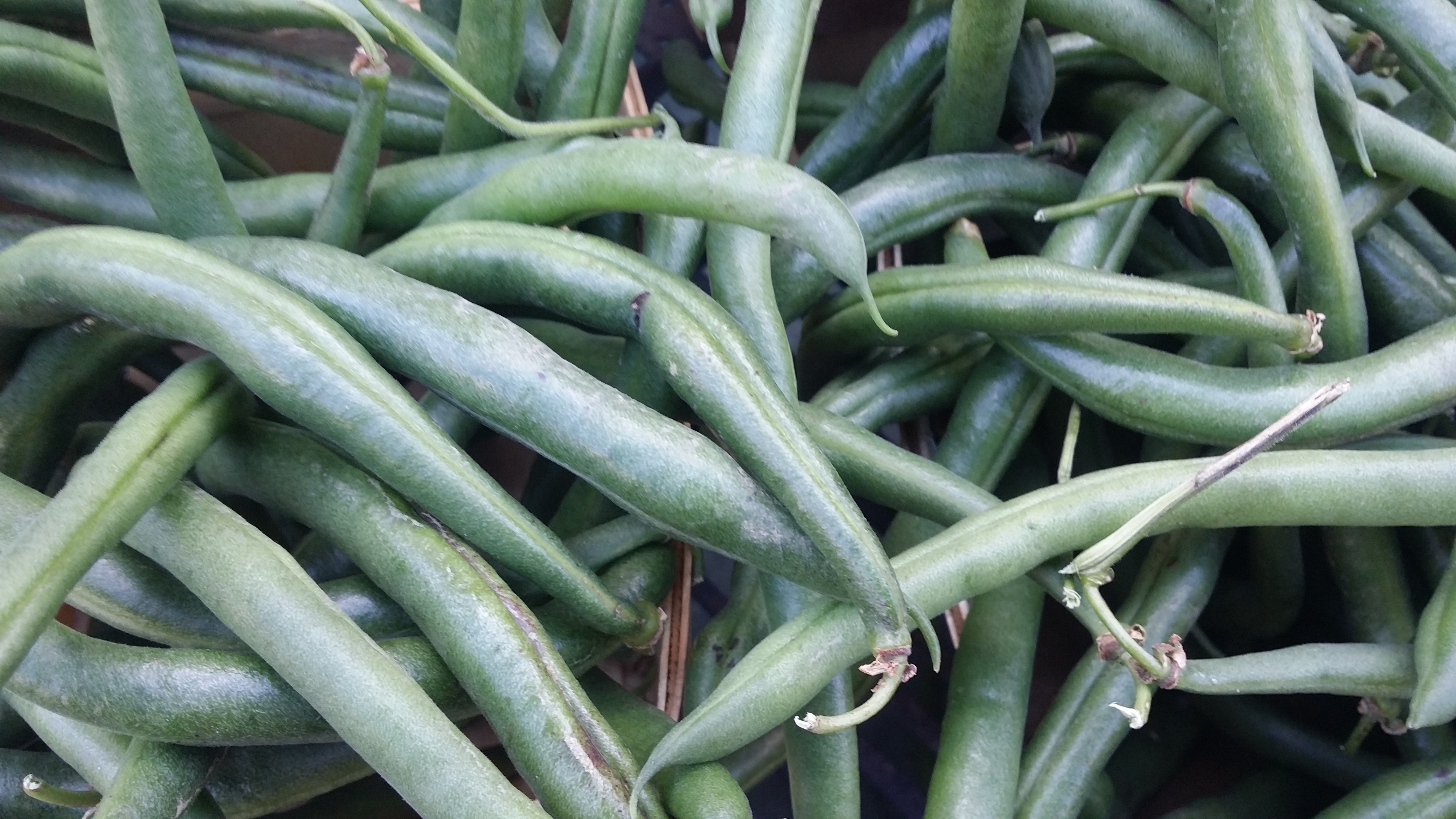 7-health-benefits-of-green-beans