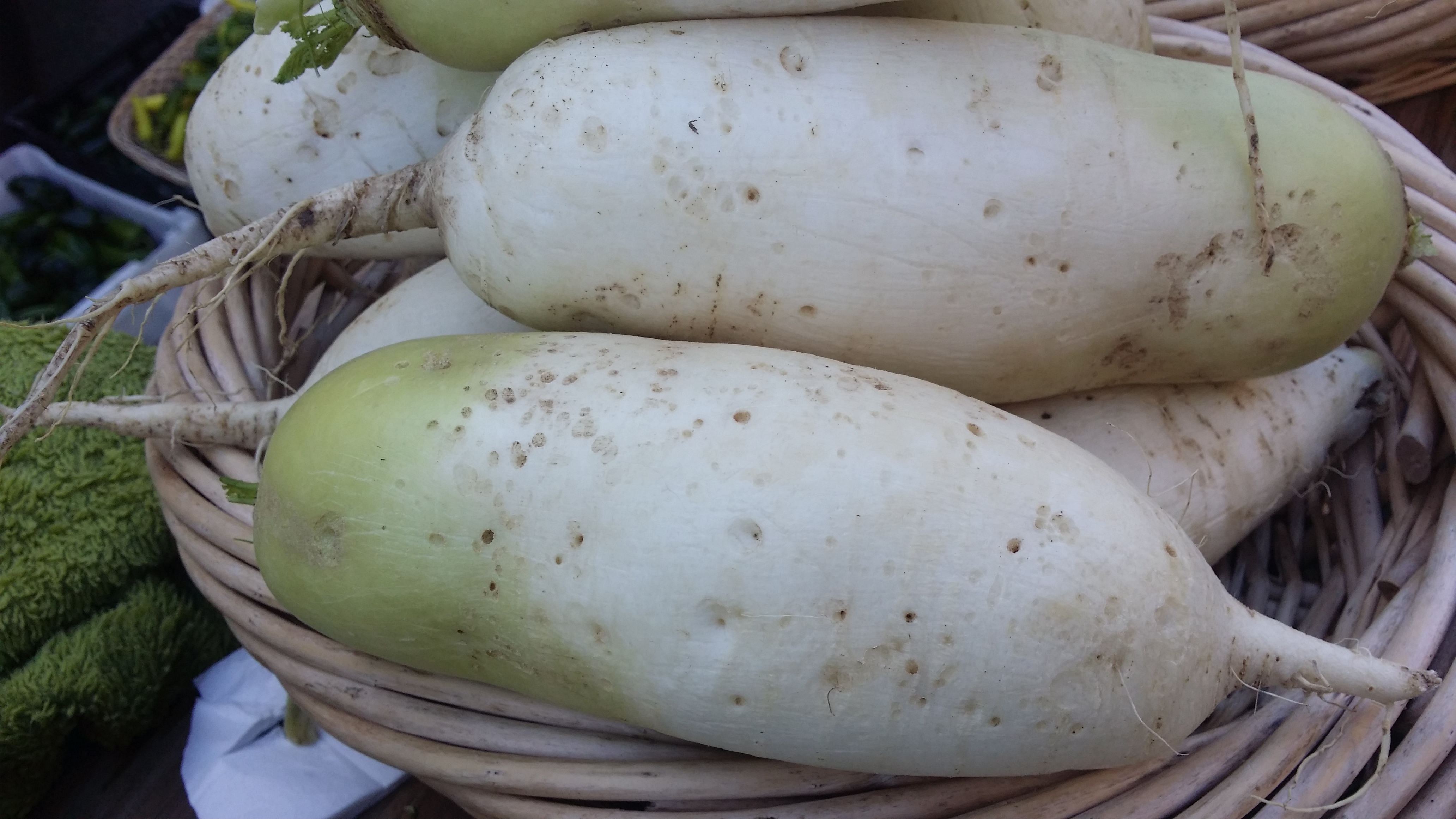 Daikon