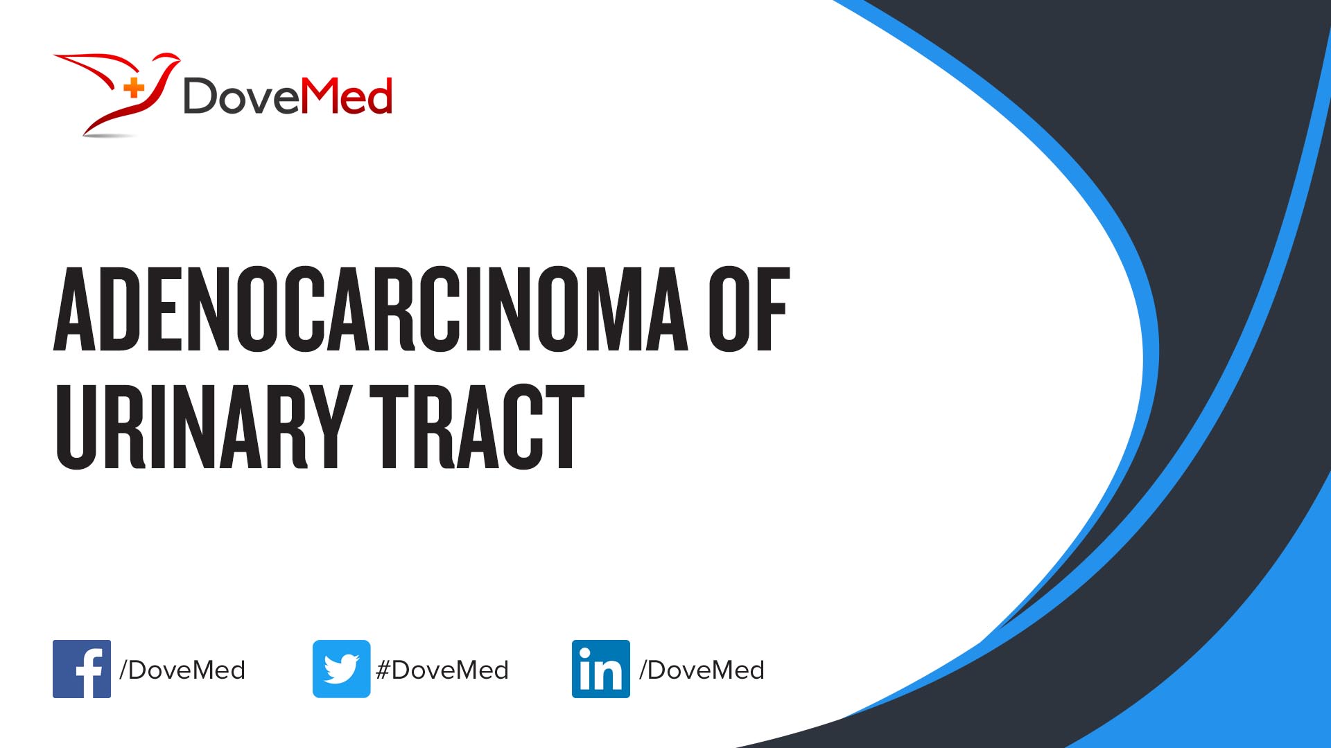 adenocarcinoma-of-urinary-tract