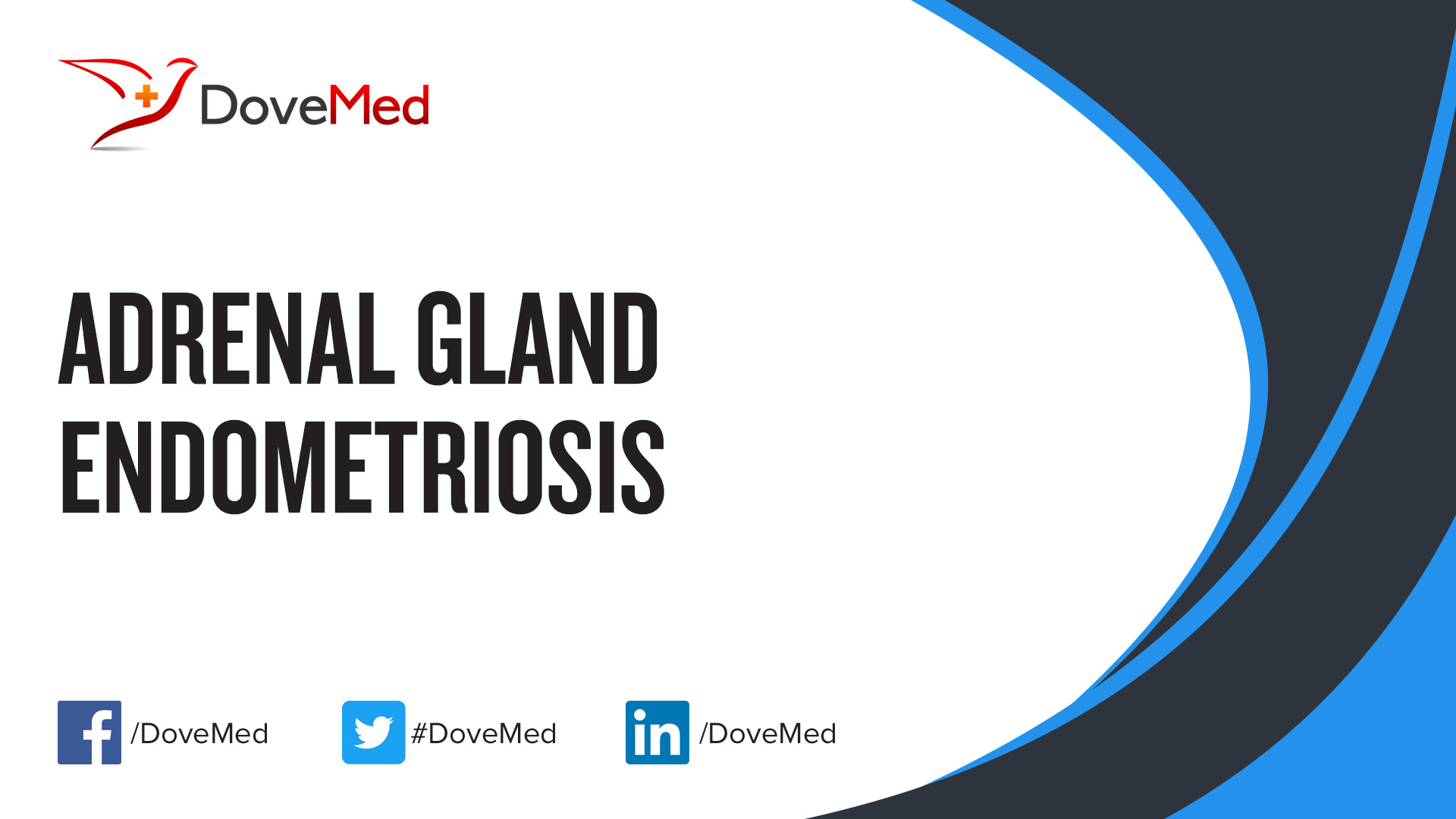 Adrenal Gland Endometriosis