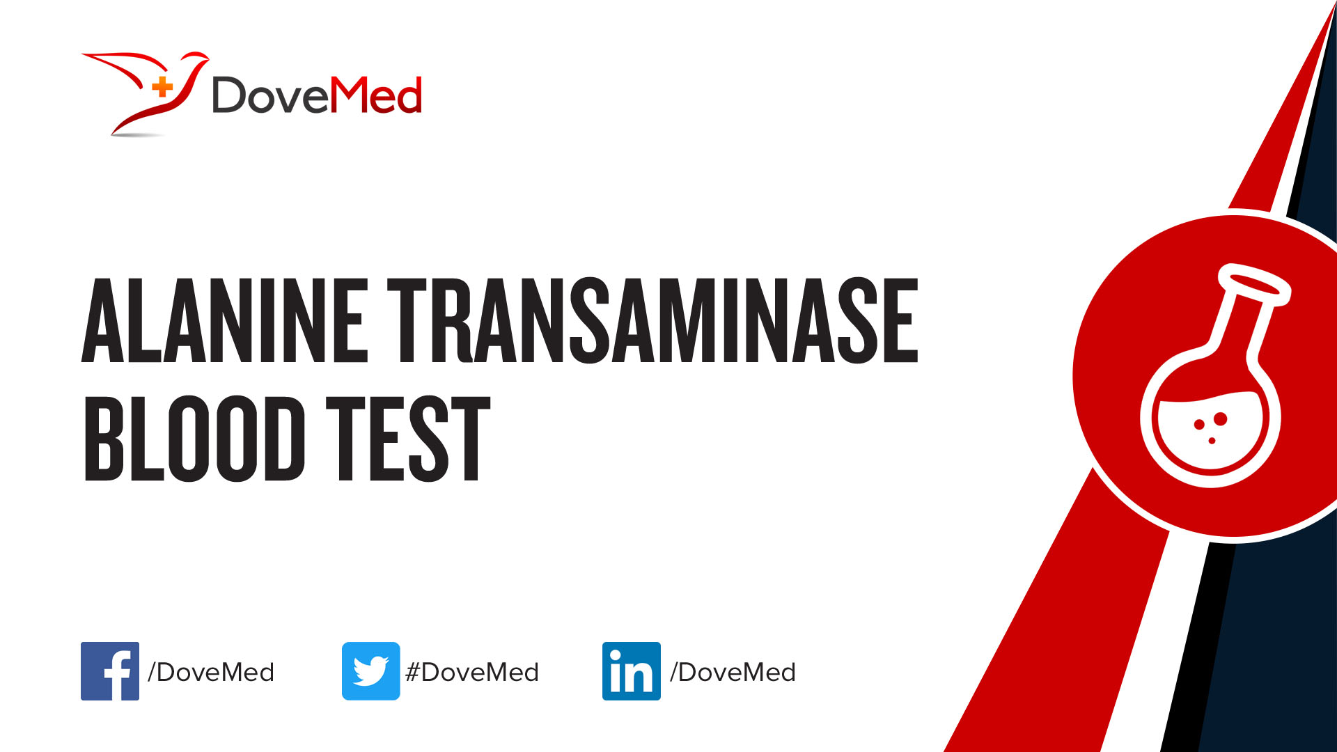 alanine-transaminase-blood-test