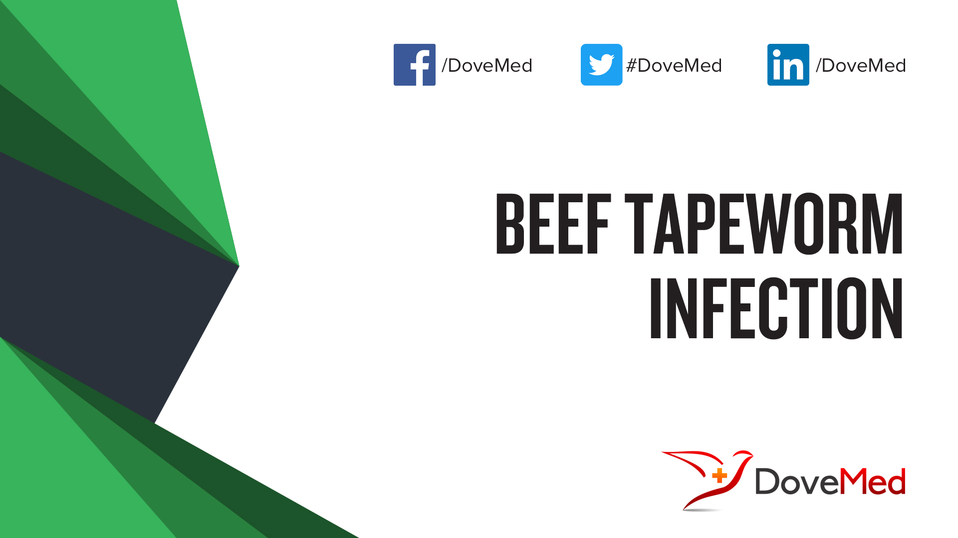 Beef Tapeworm Infection