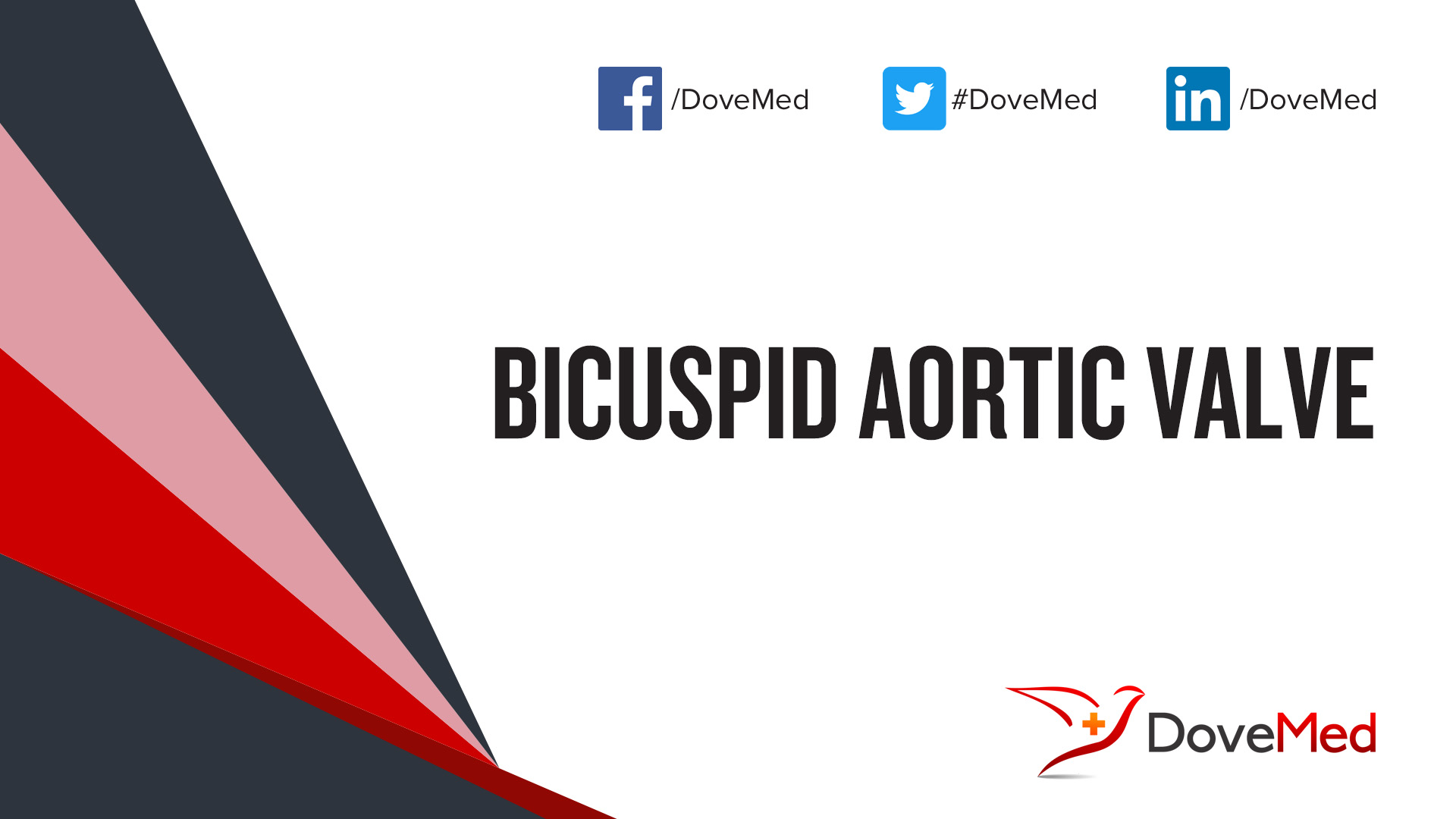 Bicuspid Aortic Valve