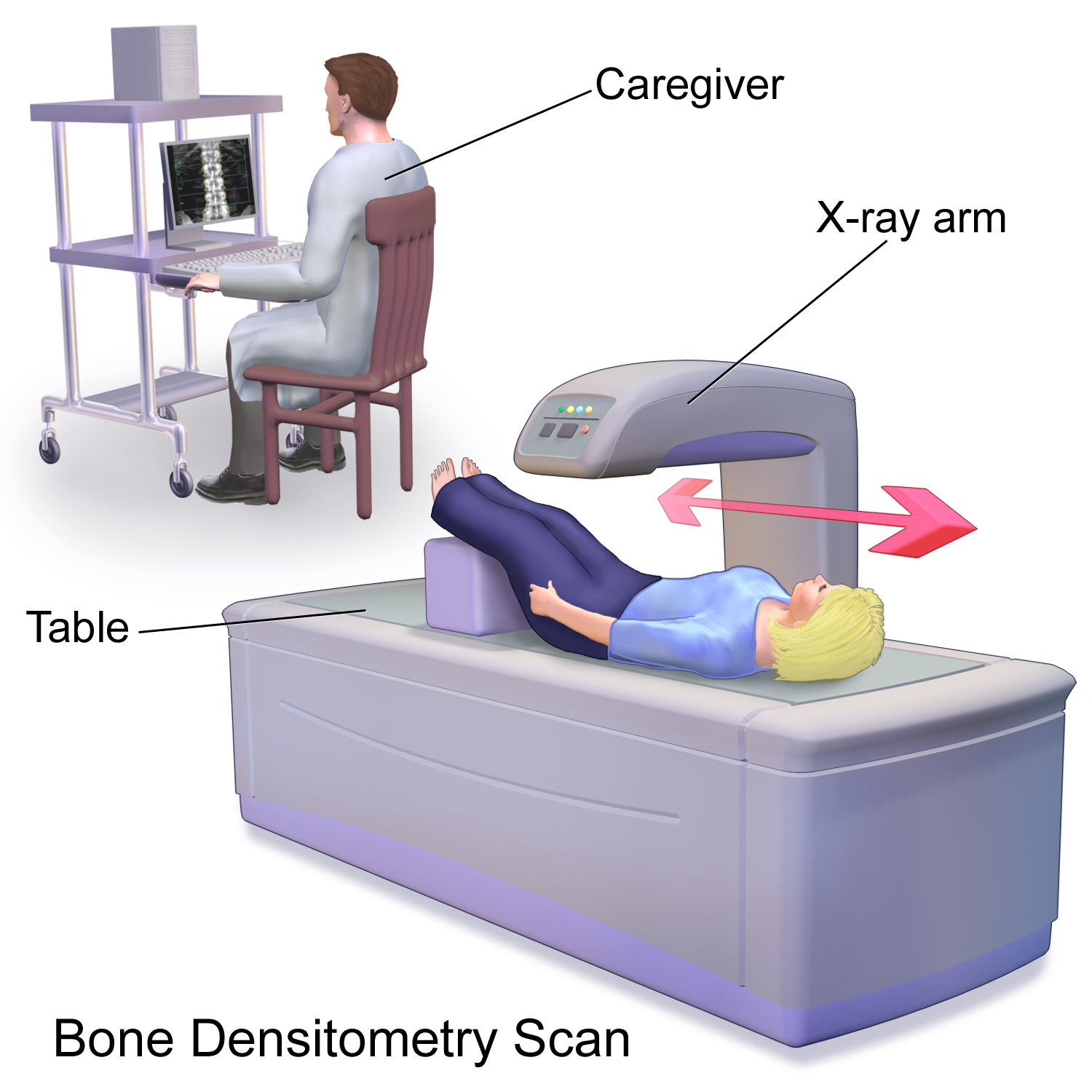 Bone Densitometry