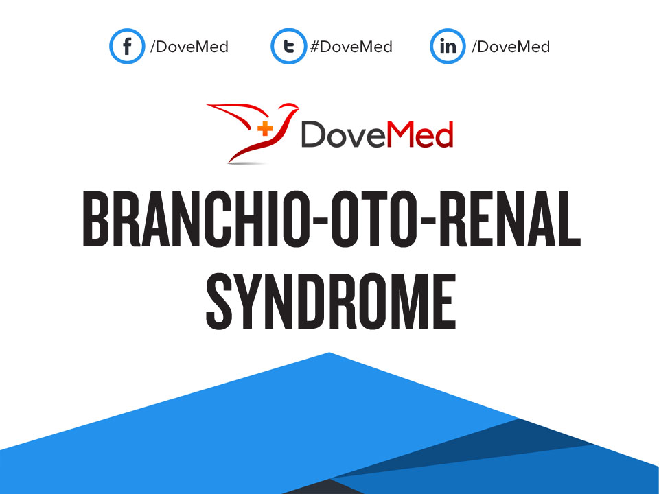 branchio-oto-renal-syndrome-bor-syndrome