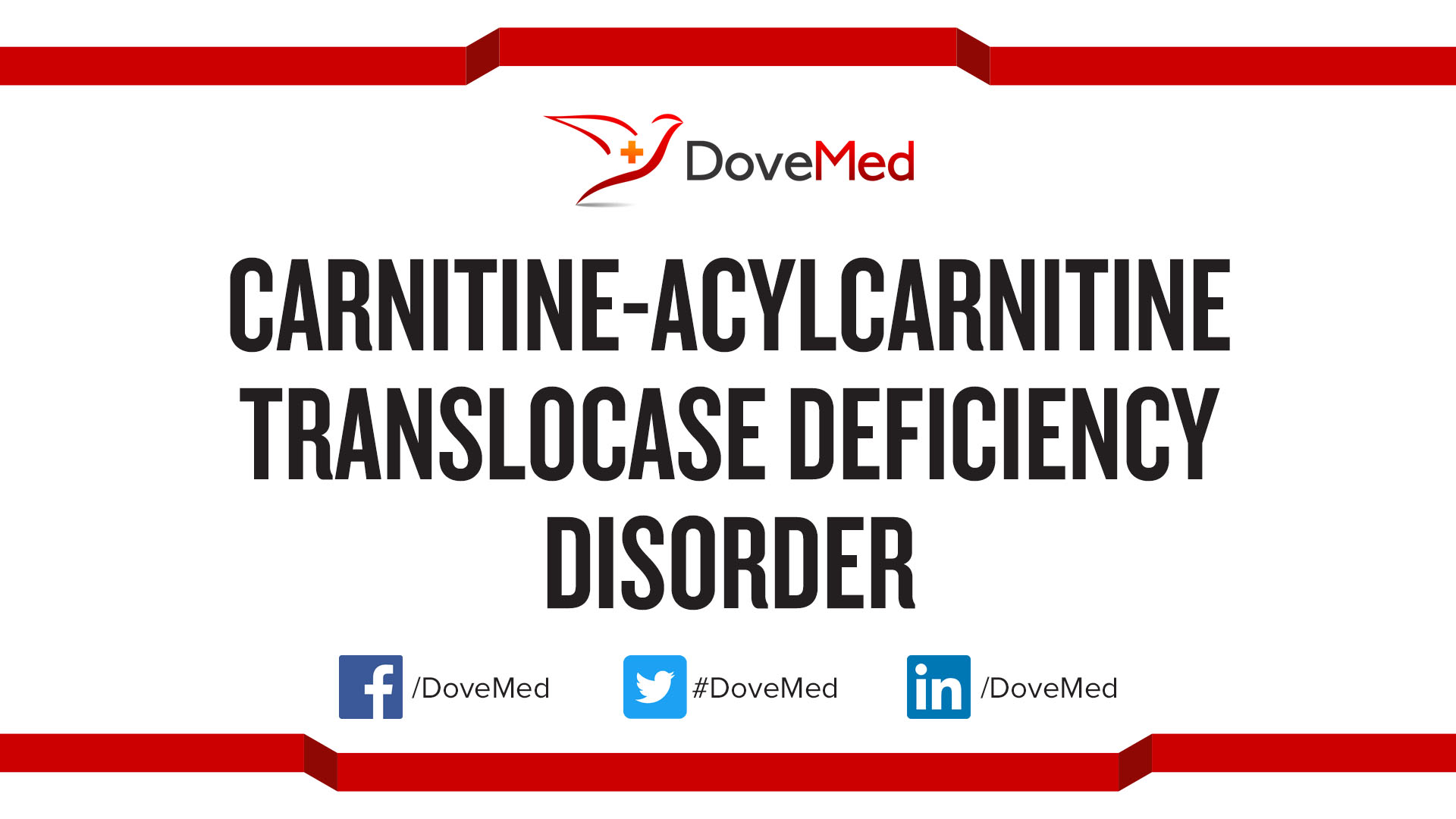 acetyl-l-carnitine-100g