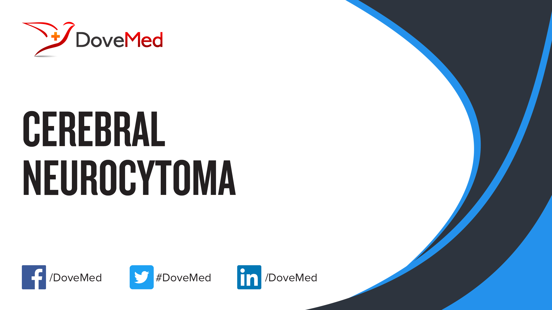 cerebral-neurocytoma