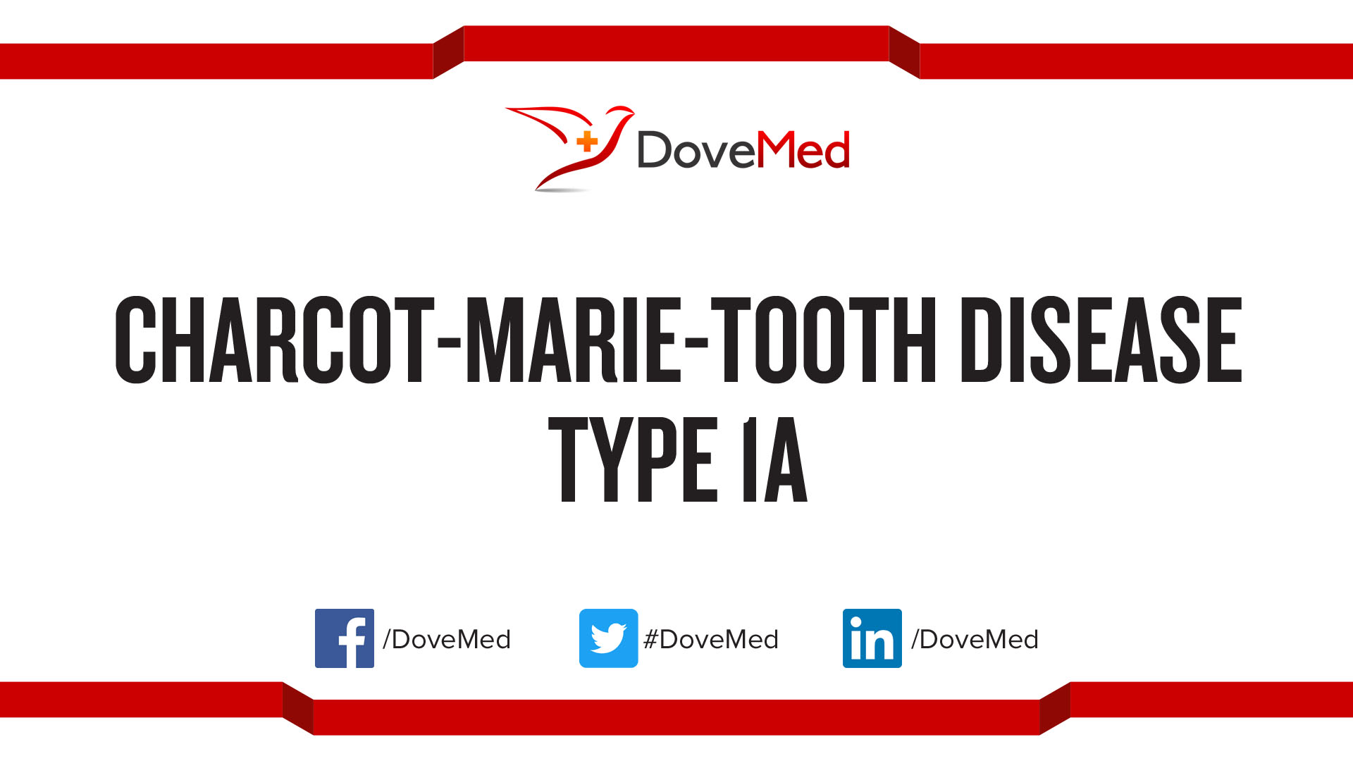 Charcot Marie Tooth Disease Type 1a