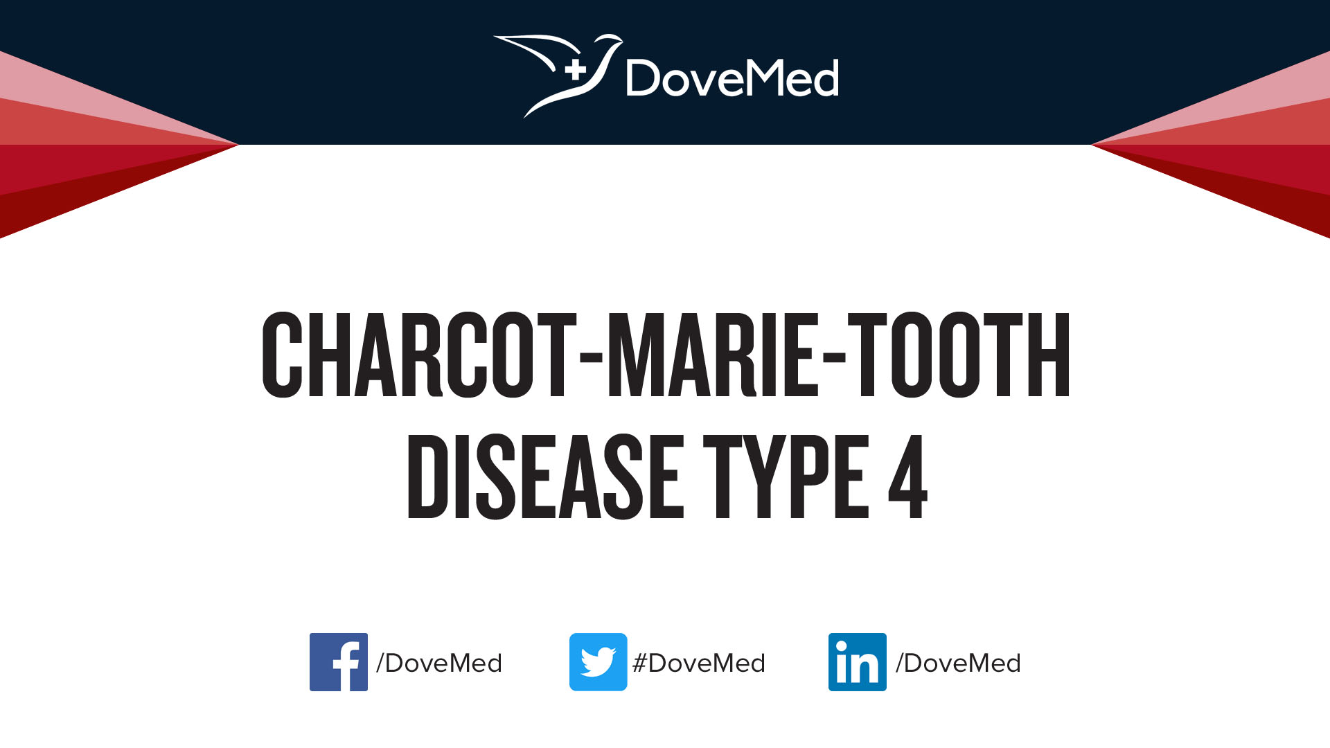 charcot marie tooth disease mtmr