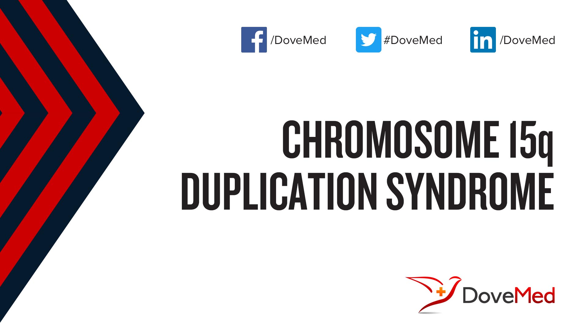 Chromosome 15q Duplication Syndrome