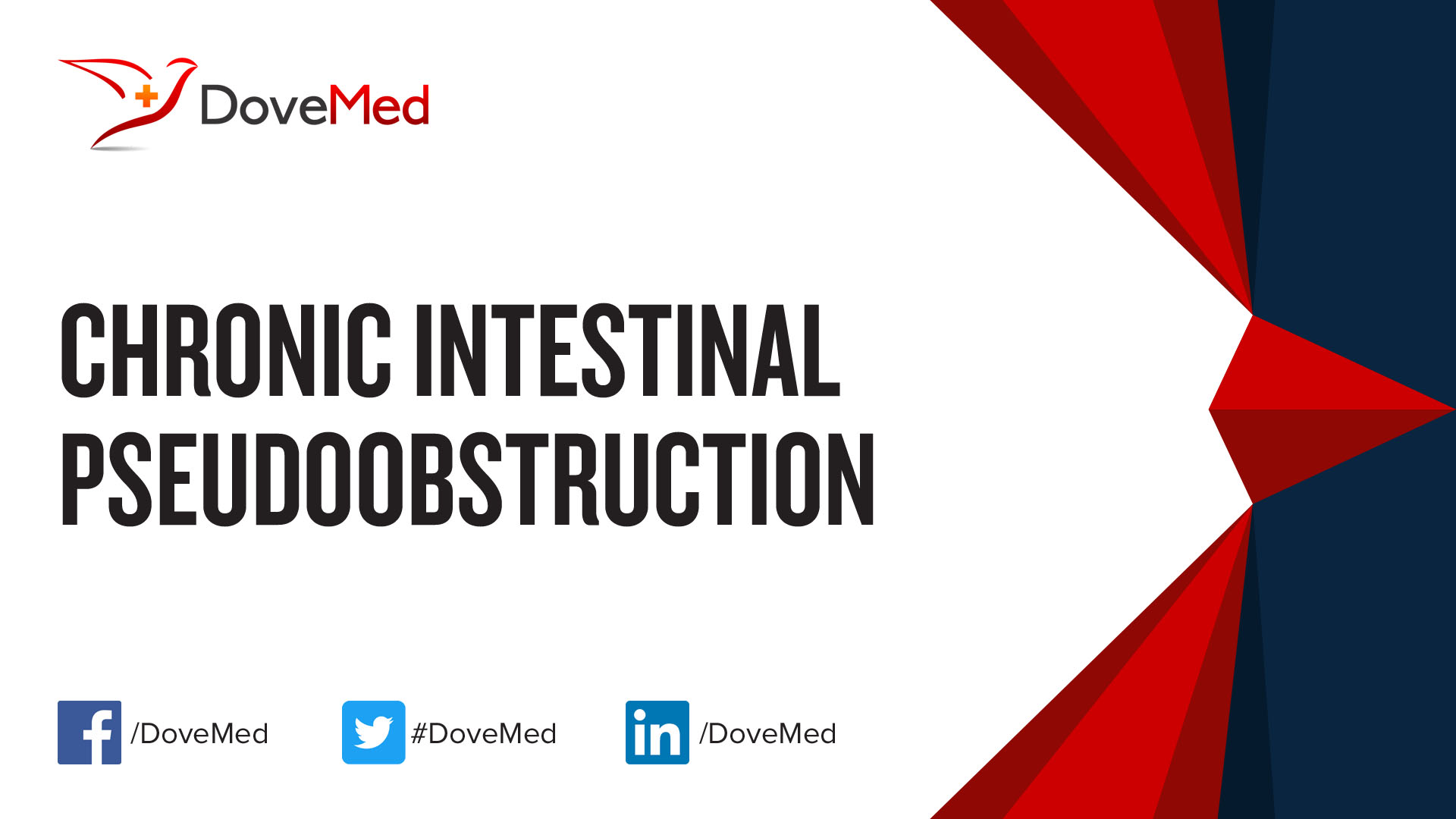 Chronic Intestinal Pseudoobstruction