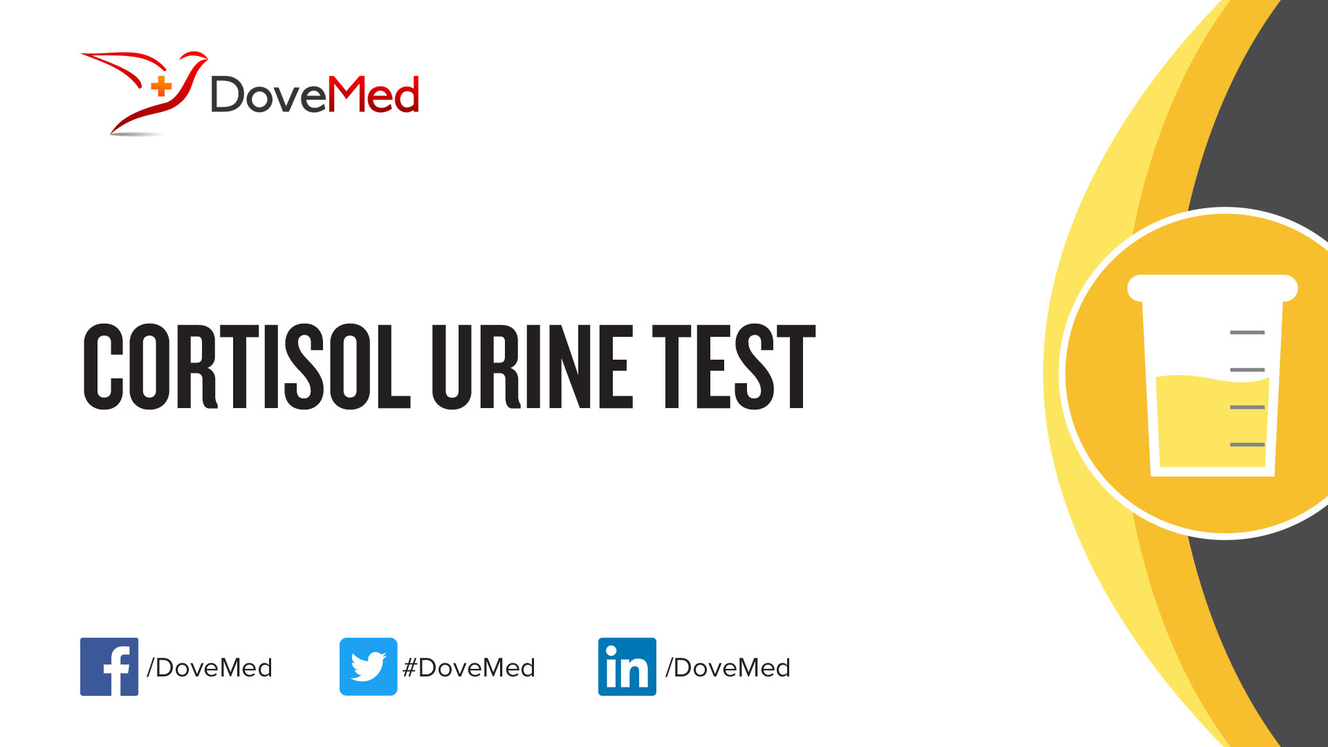 Cortisol Urine Test