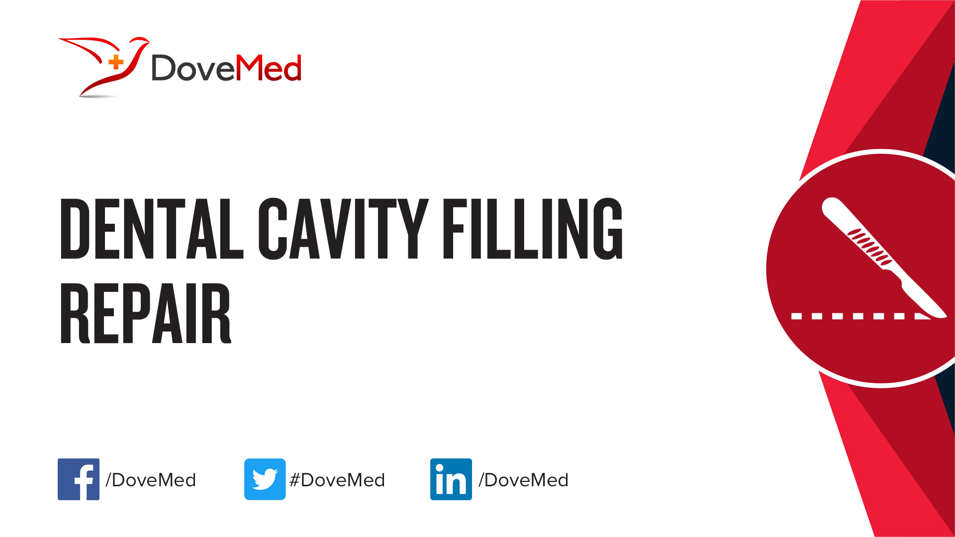 Dental Cavity Filling Repair