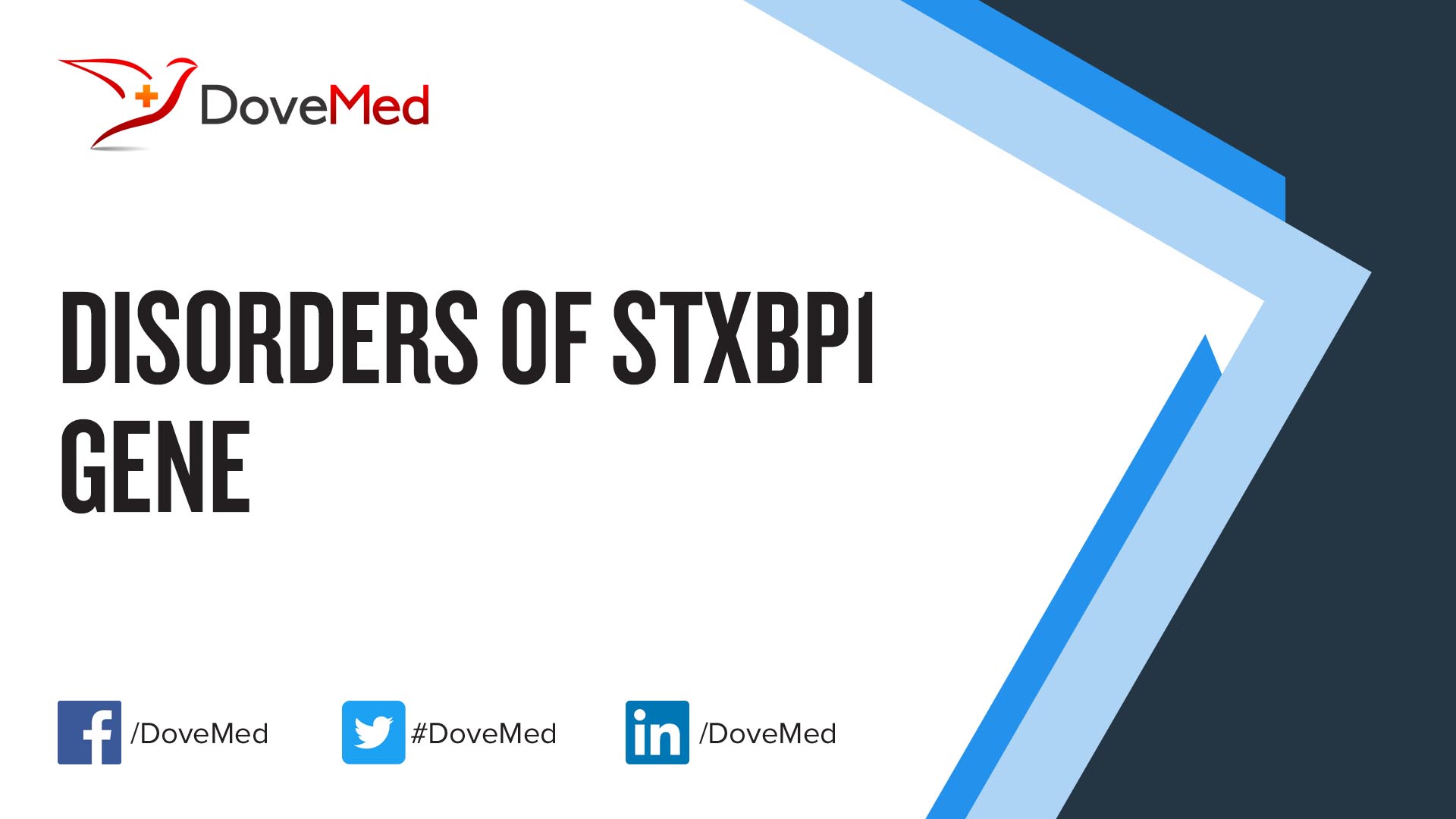 disorders-of-stxbp1-gene