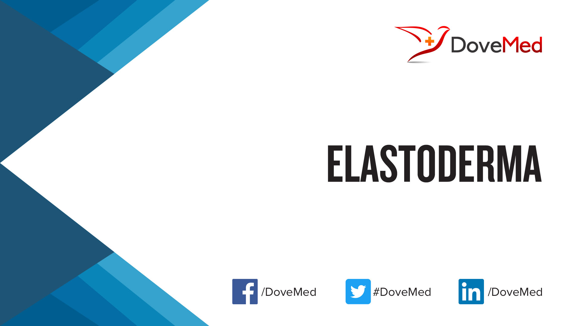 Elastoderma