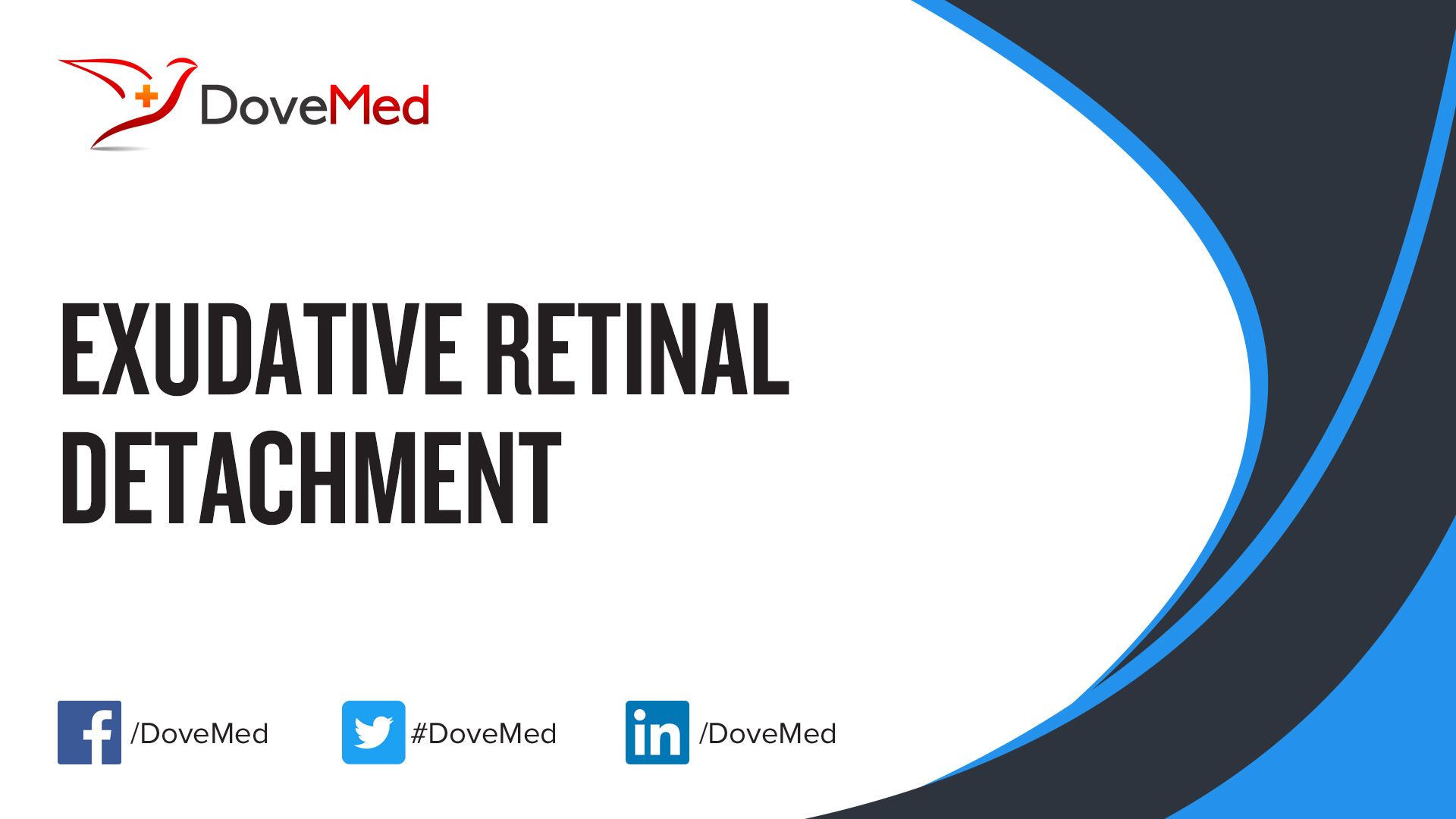 retinal-detachment