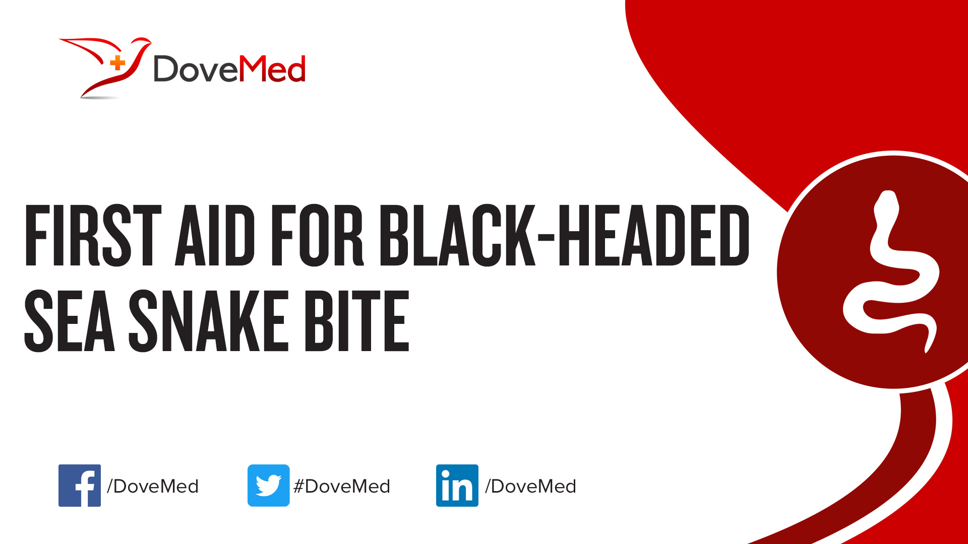 First Aid for BlackHeaded Sea Snake Bite