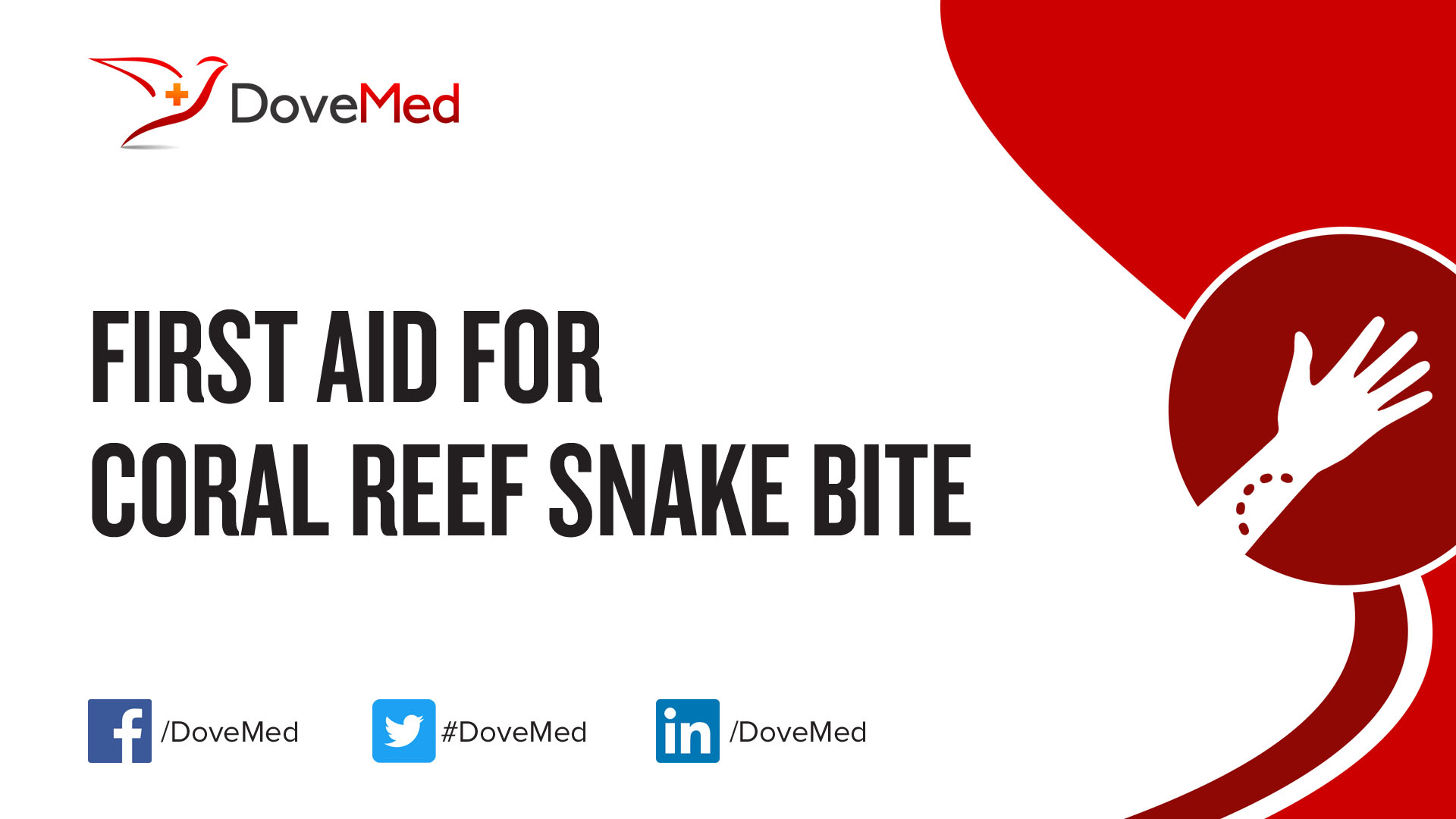 First Aid for Coral Reef Snake Bite