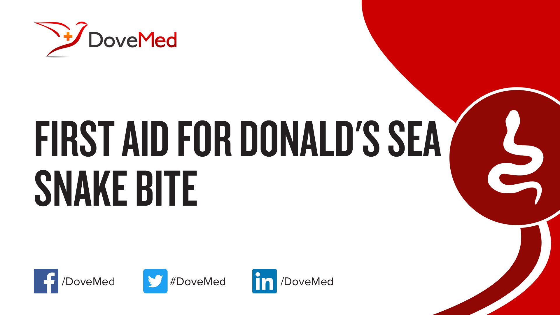 First Aid for Donald's Sea Snake Bite