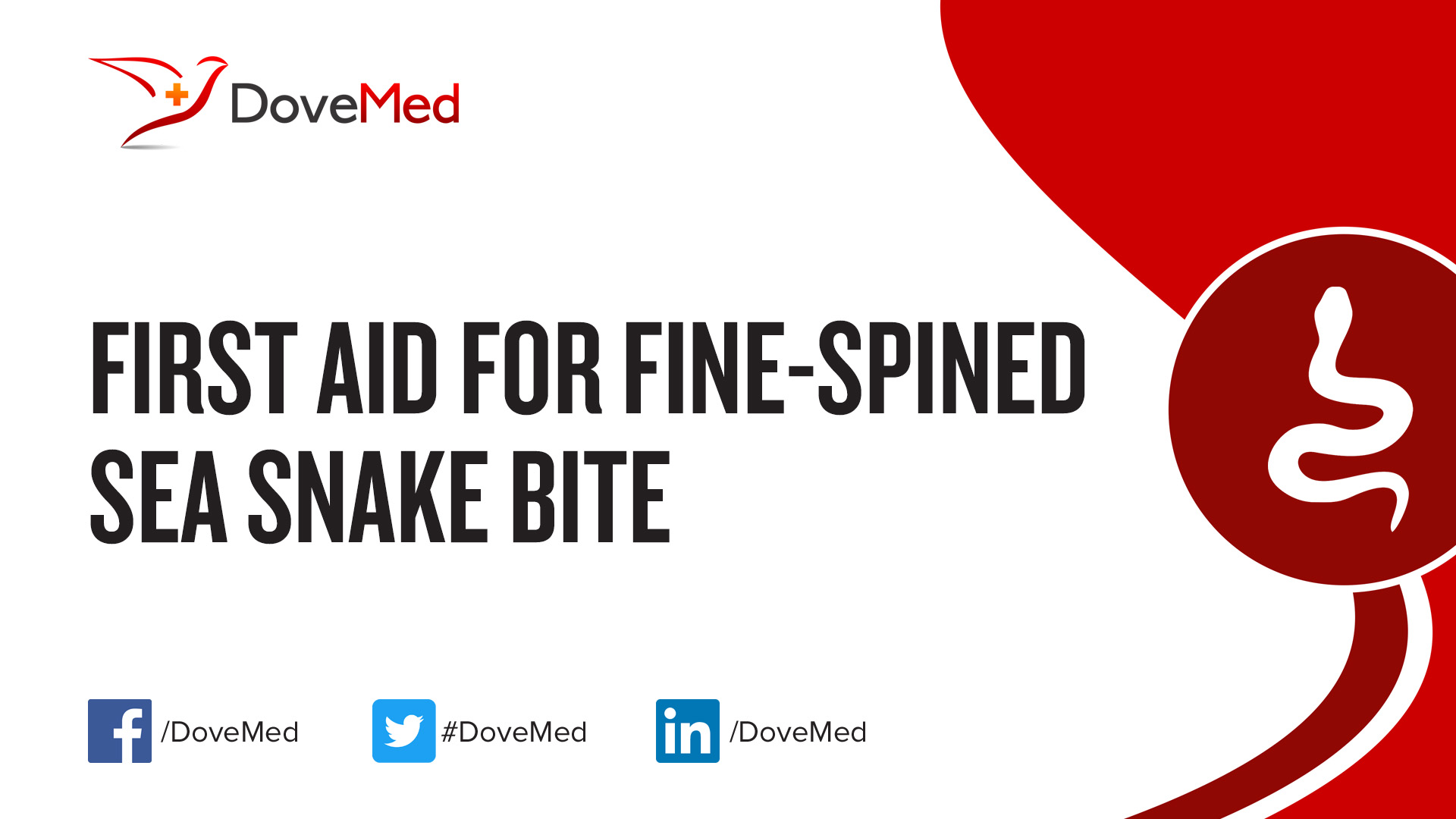 First Aid for FineSpined Sea Snake Bite