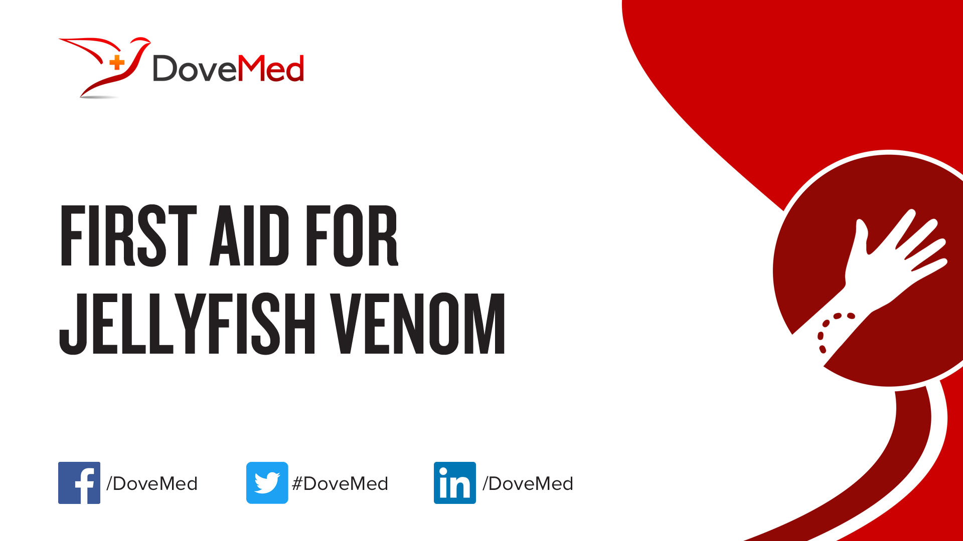 First Aid for Jellyfish Venom