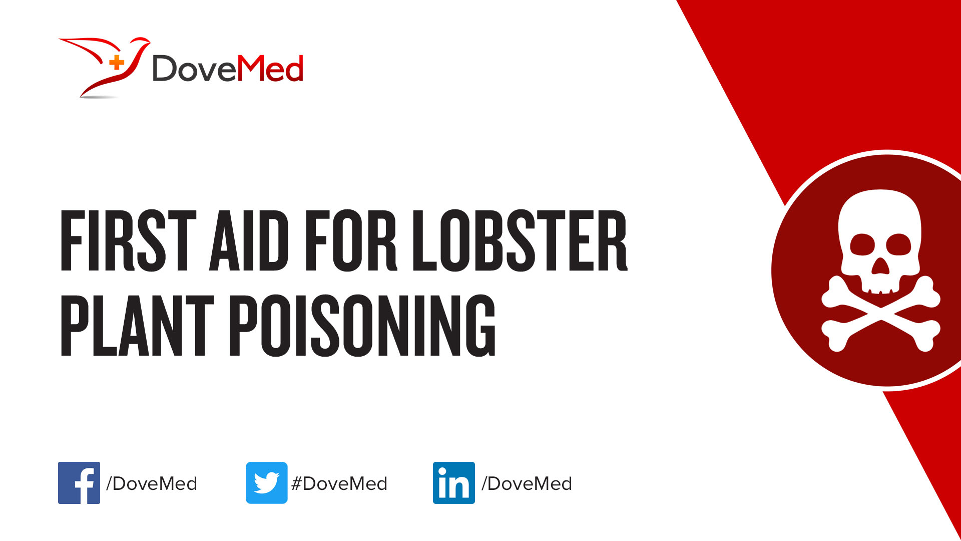 First Aid for Lobster Plant Poisoning