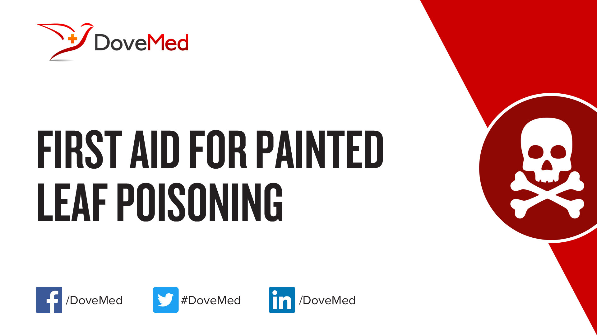 First Aid for Painted Leaf Poisoning