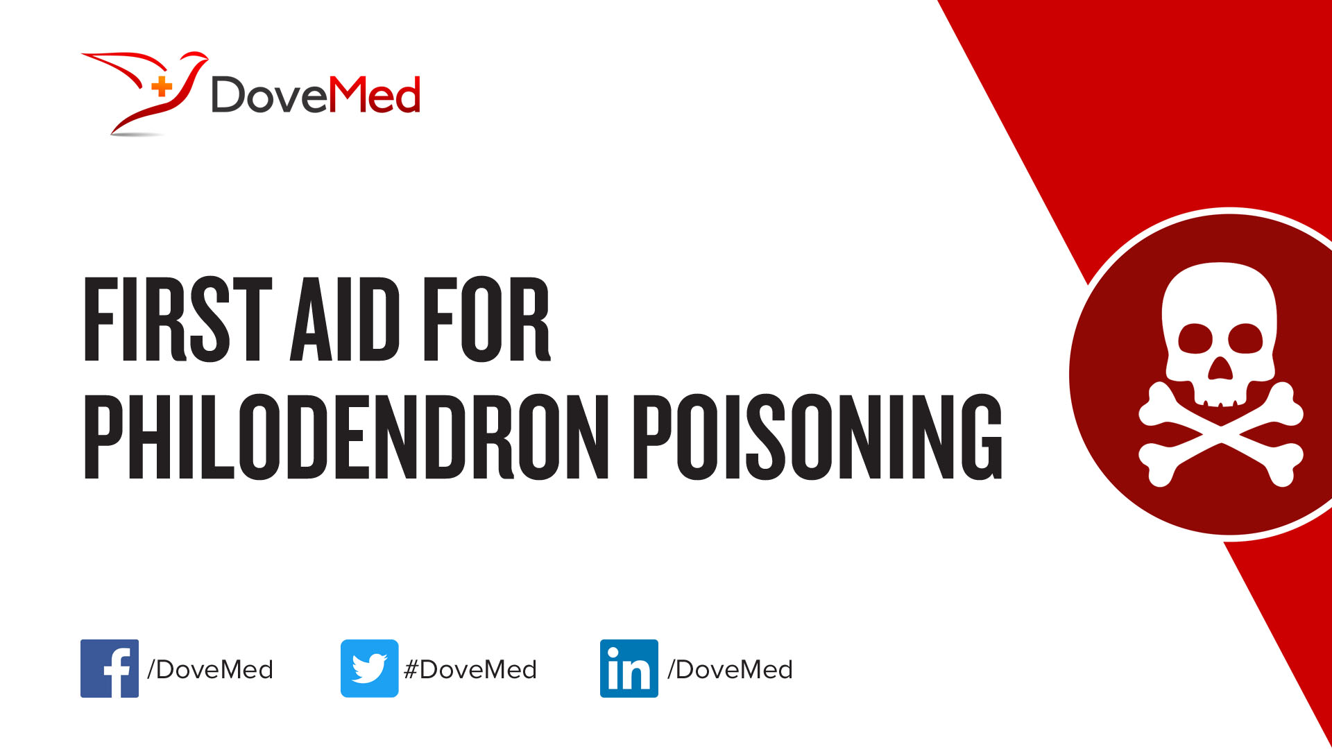 First Aid for Philodendron Poisoning - DoveMed